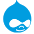 drupal-development-icon